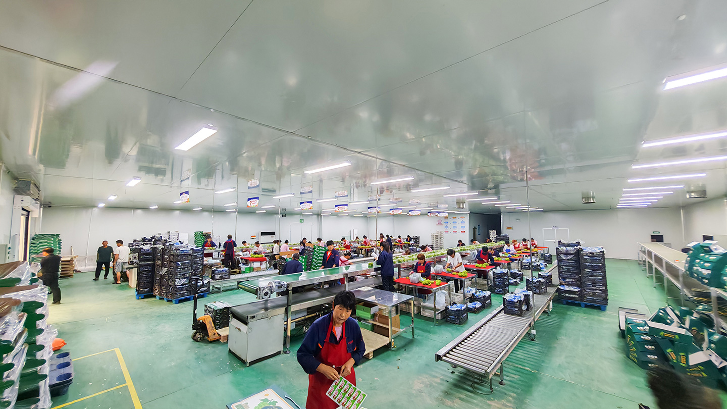 FRUITS PARTY全新恒温分拣车间正式投入使用
